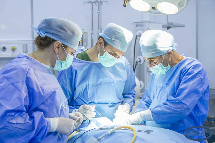 Erebouni Medical Center: Spine Pathology and vertebral surgery Department