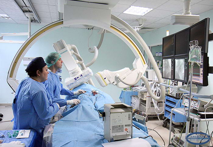 Creation of Cardiology and Cardiovascular Surgery Clinic of Erebouni Medical Center