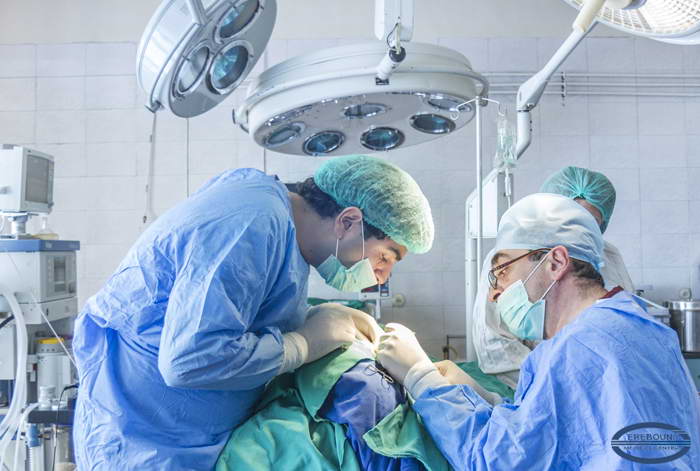 Erebouni Medical Center: Plastic Surgery and Microsurgery Department