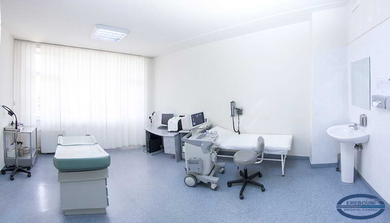 Erebouni Medical Center. Maternity Clinic: Center for Women's Reproductive Health  