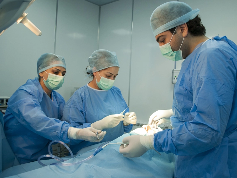 Plastic Surgery and Microsurgery Department 